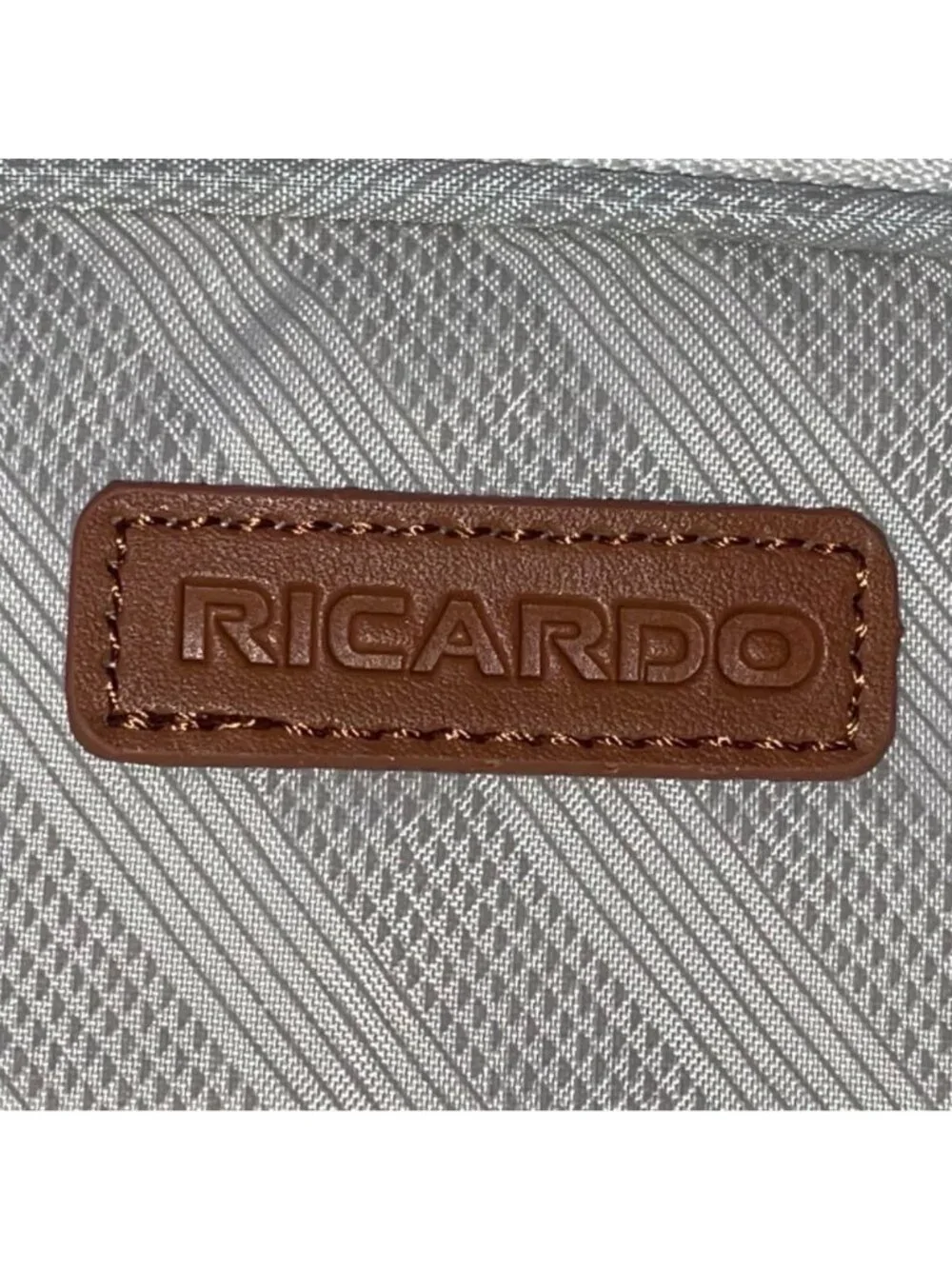 Ricardo Men’s Gray & Blue Blend Nylon 4-Wheel Spinner Expandable Travel Luggage